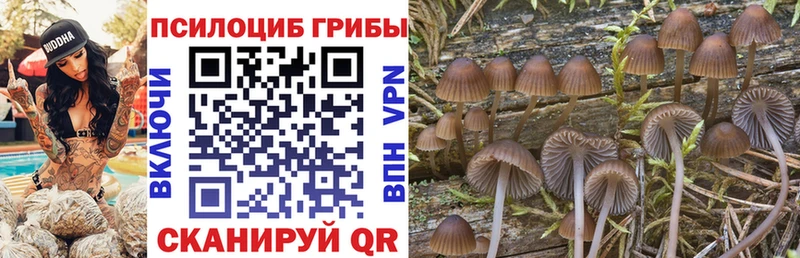 Галлюциногенные грибы Cubensis  Бирюч 